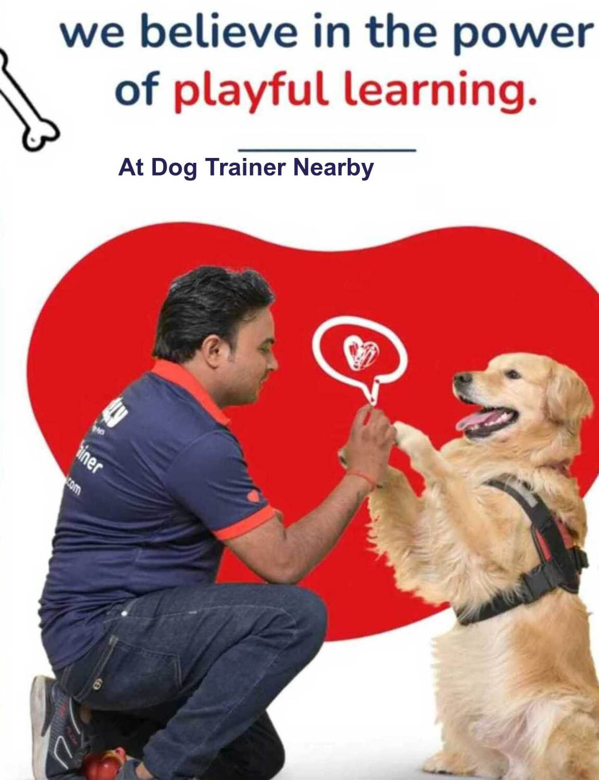 dogtrainernearby.com